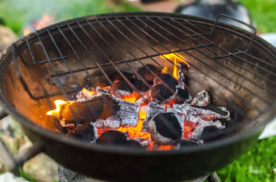 Off the Grill: Which one to choose and Chef's Tips for Cooking on Electric, Gas and Coal Grills