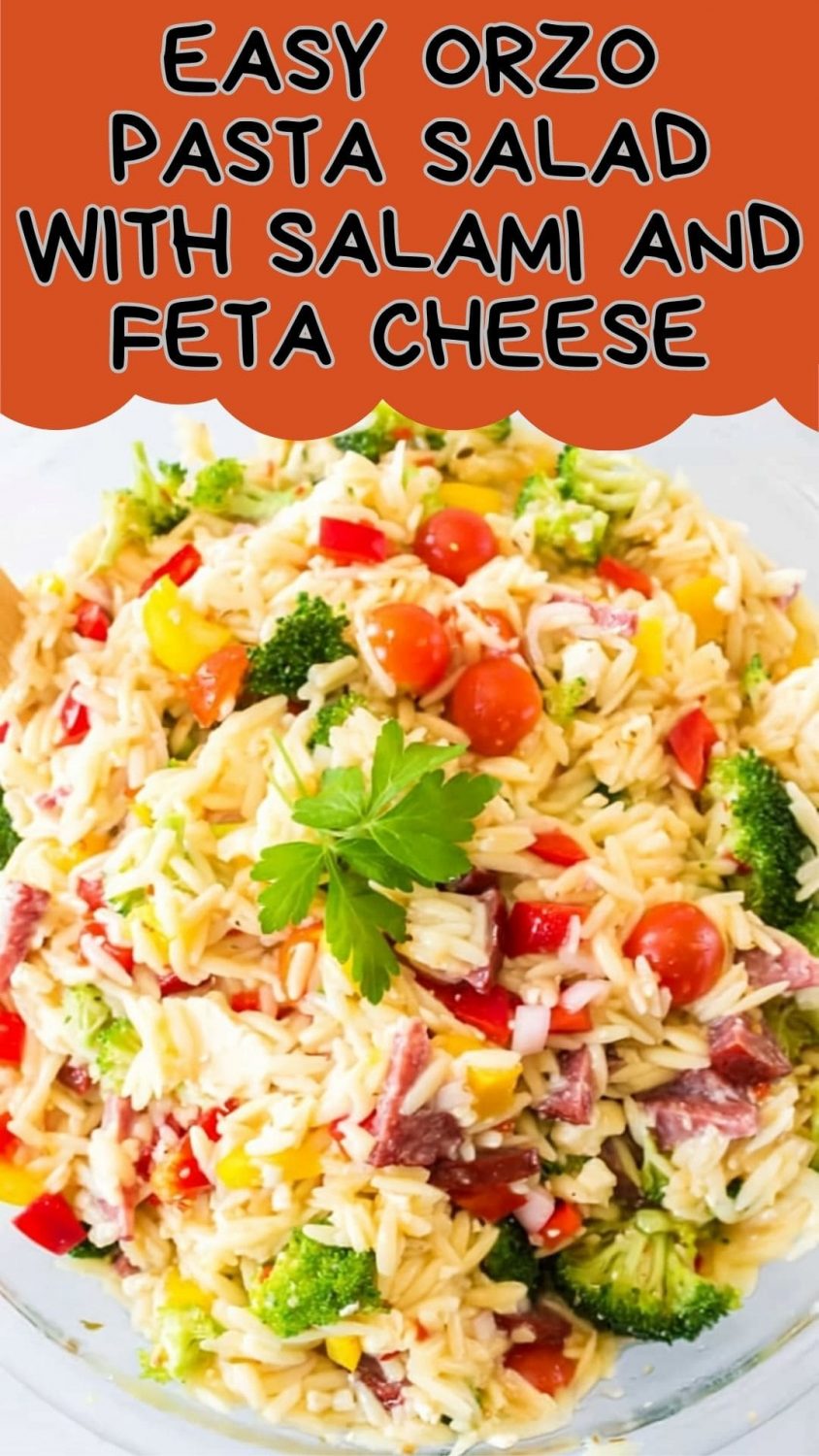 Easy Orzo Pasta Salad with Salami and Feta Cheese