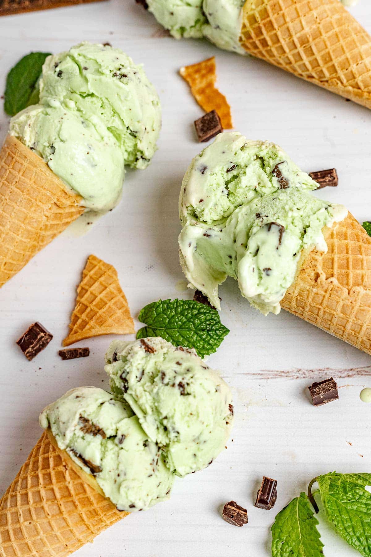 Homemade Mint Chocolate Chip Ice Cream Recipe