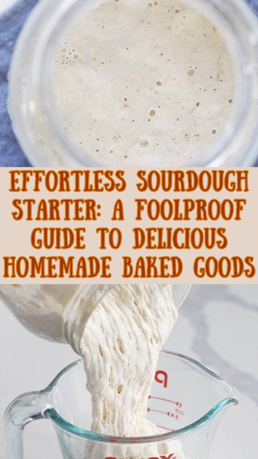 Effortless Sourdough Starter: A Foolproof Guide to Delicious Homemade Baked Goods
